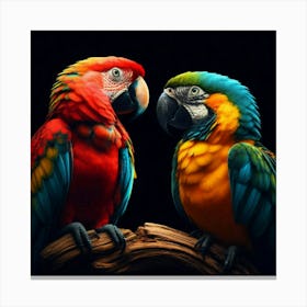 Parrots 1 Canvas Print
