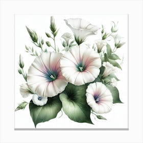 Flower of Convolves 1 Canvas Print