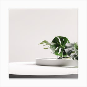 White & Monstera Product background 1 Canvas Print