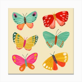 Butterfly Square Canvas Print