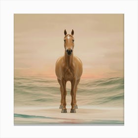 Horse On The Beach Canvas Print