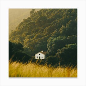 House In The Forest Canvas Print