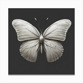 White Butterfly Canvas Print