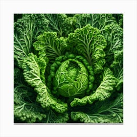 Close Up Of A Green Cabbage 2 Canvas Print