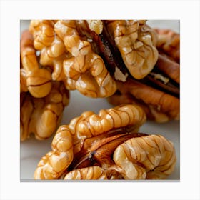 Pecans Canvas Print