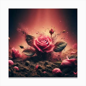 Pink Roses In The Dirt Canvas Print
