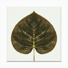 Leaf 1 1 Canvas Print