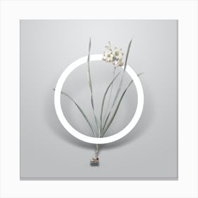 Vintage Gladiolus Lineatus Minimalist Botanical Geometric Circle on Soft Gray n.0450 Canvas Print