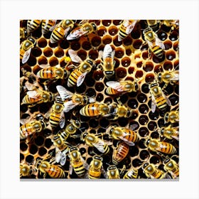 Bees Insects Pollinators Honey Hive Queen Worker Drone Nectar Pollen Colony Honeycomb St (1) Canvas Print
