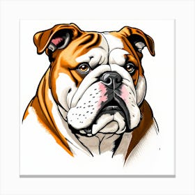 Bulldog Canvas Print