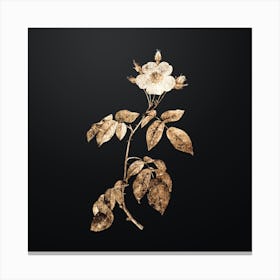 Gold Botanical Big Leaved Climbing Rose on Wrought Iron Black n.2324 Canvas Print