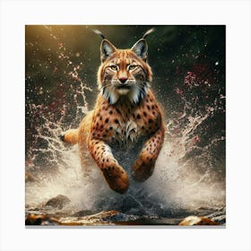 Lynx Running In Water 1 Canvas Print