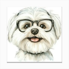 Maltese Dog With Glasses Canvas Print