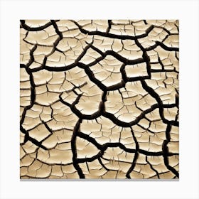Cracked Dry Land 1 Canvas Print