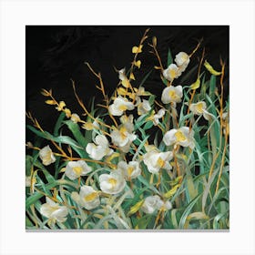 White Orchids Canvas Print