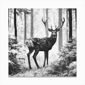 Deer In The Forest 9 Canvas Print