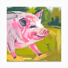 Landrace Pig 04 Canvas Print