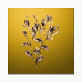 Gold Botanical Andromeda Axillaris Bloom on Mango Yellow n.3687 Canvas Print