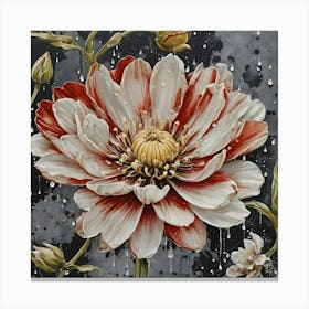 Raindrops On A Flower 1 Canvas Print