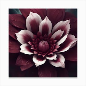 Dahlia 1 Canvas Print