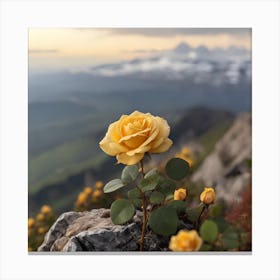 Yellow Rose In The Mountains Canvas Print