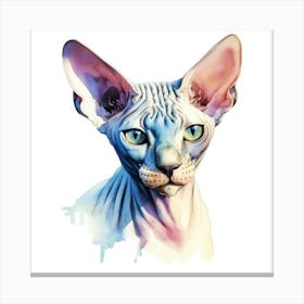 Sphynx Standard Cat Portrait 2 Canvas Print