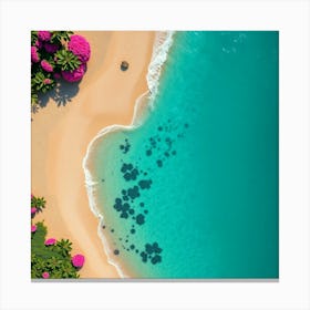 Aerial View Of A Tropical Beach Canvas Print