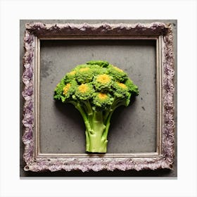 Broccoflower As A Frame (40) Canvas Print