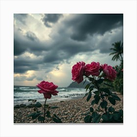 Roses On The Beach 17 Canvas Print