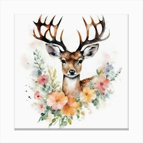 Deer Watercolor Painting 1 Canvas Print