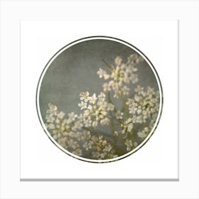 Foraged Texture Rounds 3 Canvas Print