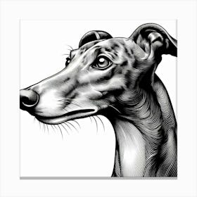 Line Art greyhound dog Canvas Print