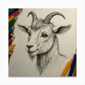 Goat Drawing 9 Canvas Print