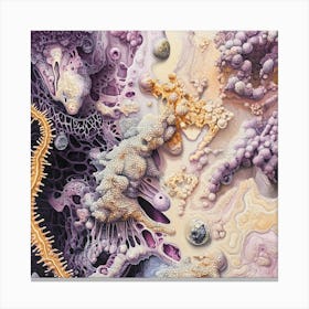 Coral Reefs Canvas Print