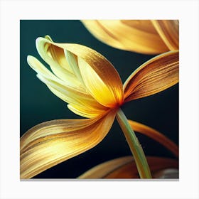 Tulip 4 Canvas Print