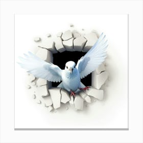 White Dove Canvas Print