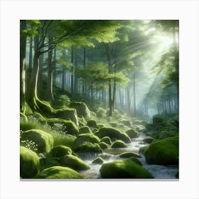 Mossy Forest 16 Canvas Print