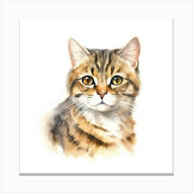 Blackfooted Cat Portrait Canvas Print