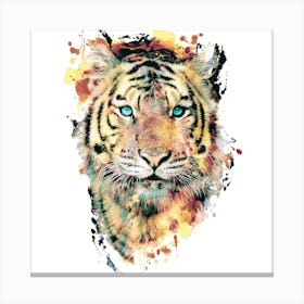 Tiger 2 Square Canvas Print