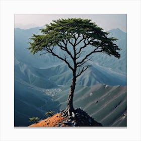 Lone Tree In The Mountains 3 Canvas Print