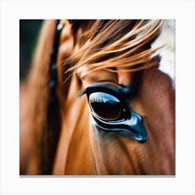 Close Up Of A Horse'S Eye 2 Canvas Print