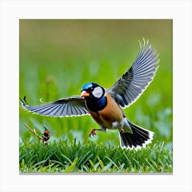 Bird In Flight 11 Canvas Print