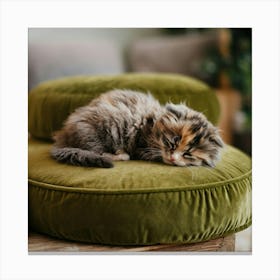 A Photo Of A Calico Kitten With Messy Fluffy Fur Canvas Print