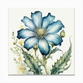 Blue Anemone Canvas Print