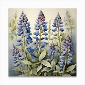 Lupines art print Canvas Print