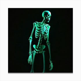 Glow In The Dark Skeleton 1 Canvas Print