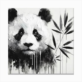 Panda 2 Canvas Print