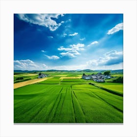 Green Farm Nature Field Landscape Countryside Agriculture Grass Gold Grow Japan Air Plan (5) Canvas Print