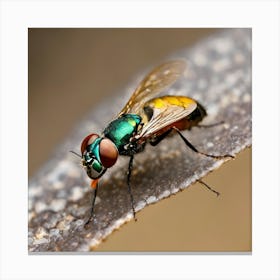 Flies Canvas Print