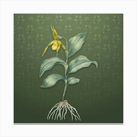 Vintage Lady's Slipper Orchid Botanical on Lunar Green Pattern n.1008 Canvas Print